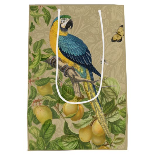 Macaw Blue Yellow Tropical Oerwoud Antiek Medium Cadeauzakje (Achterkant)