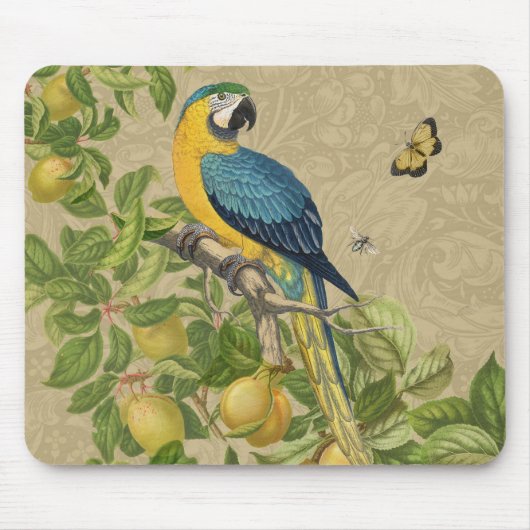 Macaw Blue Yellow Tropical Oerwoud Antiek Muismat (Voorkant)