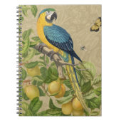 Macaw Blue Yellow Tropical Oerwoud Antiek Notitieboek (Voorkant)