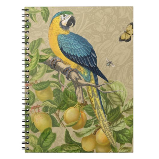 Macaw Blue Yellow Tropical Oerwoud Antiek Notitieboek (Voorkant)