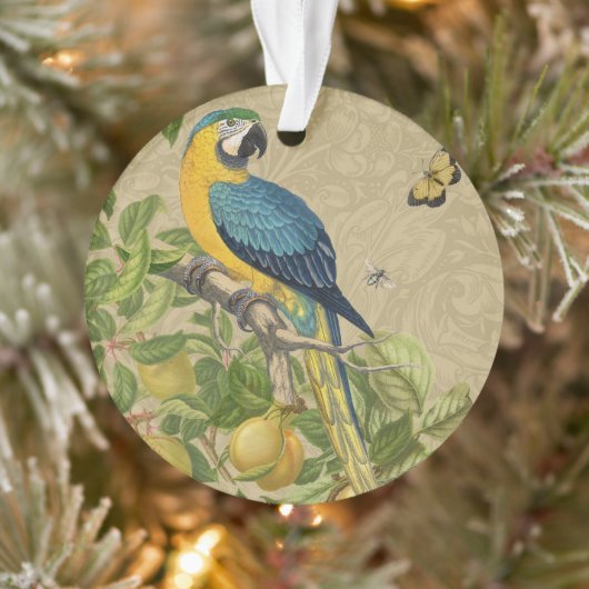 Macaw Blue Yellow Tropical Oerwoud Antiek Ornament (Boom)