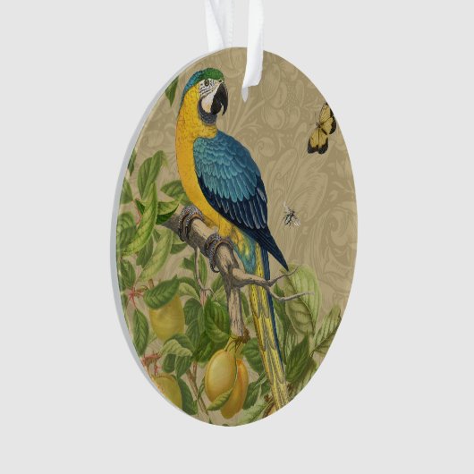 Macaw Blue Yellow Tropical Oerwoud Antiek Ornament (voorkant)