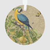 Macaw Blue Yellow Tropical Oerwoud Antiek Ornament (achterkant)