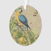 Macaw Blue Yellow Tropical Oerwoud Antiek Ornament (voorkant)
