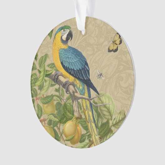 Macaw Blue Yellow Tropical Oerwoud Antiek Ornament (voorkant)
