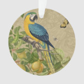 Macaw Blue Yellow Tropical Oerwoud Antiek Ornament (voorkant)