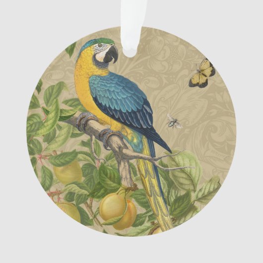 Macaw Blue Yellow Tropical Oerwoud Antiek Ornament (voorkant)