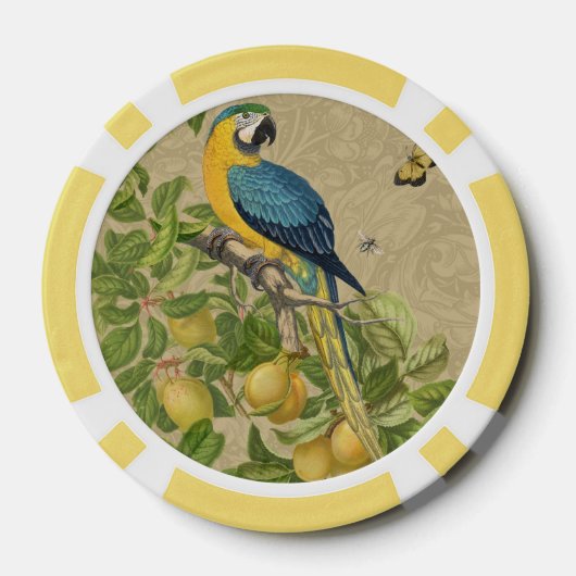 Macaw Blue Yellow Tropical Oerwoud Antiek Poker Chips (Achterkant)