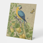 Macaw Blue Yellow Tropical Oerwoud Antiek Reclamebord Met Voetstuk (Voorkant)