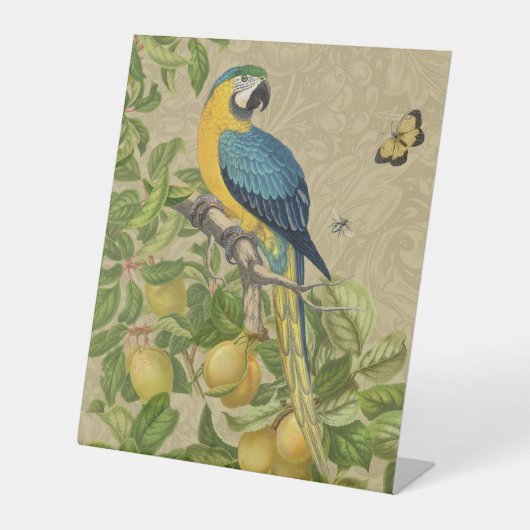 Macaw Blue Yellow Tropical Oerwoud Antiek Reclamebord Met Voetstuk (Voorkant)