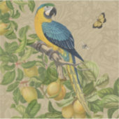 Macaw Blue Yellow Tropical Oerwoud Antiek Sticker (Voorkant)