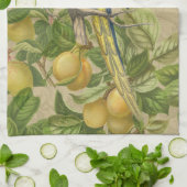 Macaw Blue Yellow Tropical Oerwoud Antiek Theedoek (Gevouwen)