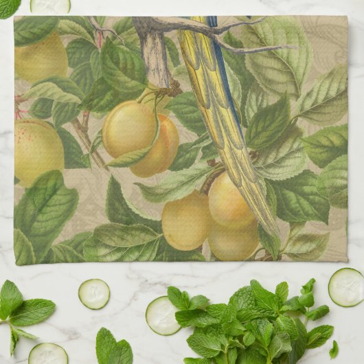 Macaw Blue Yellow Tropical Oerwoud Antiek Theedoek (Gevouwen)