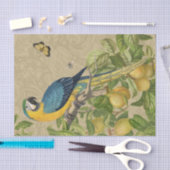Macaw Blue Yellow Tropical Oerwoud Antiek Tissuepapier (Craft)