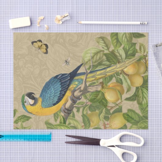 Macaw Blue Yellow Tropical Oerwoud Antiek Tissuepapier (Craft)