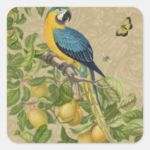 Macaw Blue Yellow Tropical Oerwoud Antiek Vierkante Sticker