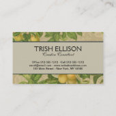 Macaw Blue Yellow Tropical Oerwoud Antiek Visitekaartje (Achterkant)