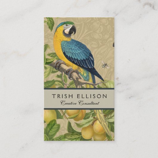 Macaw Blue Yellow Tropical Oerwoud Antiek Visitekaartje (Voorkant)