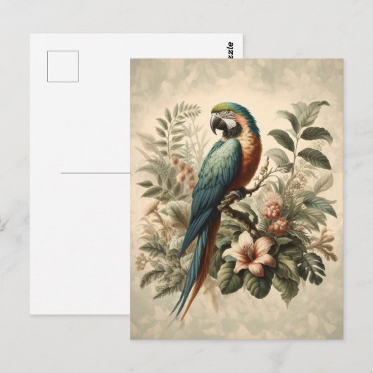  Macaw Botanische Schilderij Briefkaart (Voorkant / Achterkant)