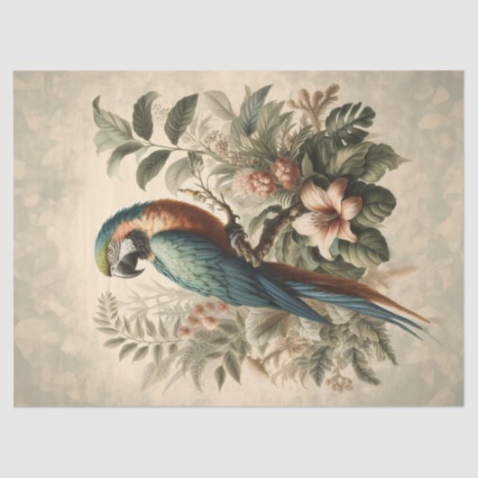 Macaw Botanische Schilderij Decoupage Tissuepapier (Voorkant)