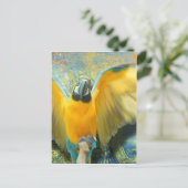 Macaw Briefkaart (Staand voorkant)