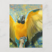 Macaw Briefkaart (Voorkant)