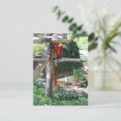 Macaw Briefkaart (Staand voorkant)