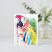 Macaw Briefkaart (Staand voorkant)