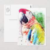 Macaw Briefkaart (Voorkant / Achterkant)