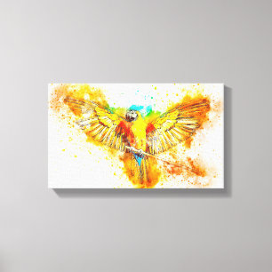 Macaw Canvas Afdruk