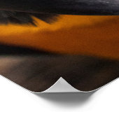 Macaw Close-up poster (Hoek)