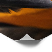 Macaw Close-Up poster (Hoek)