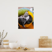 Macaw Close-up poster (Keuken)