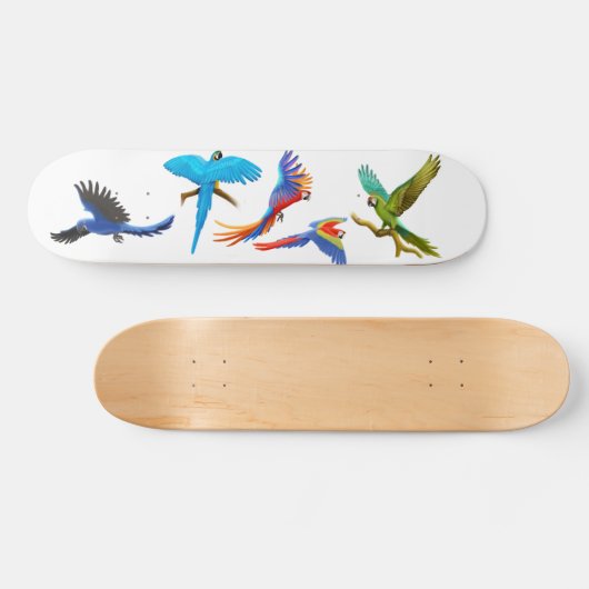 Macaw Crazy Skateboard (Horizontaal)