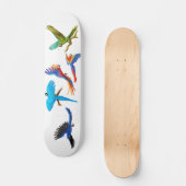 Macaw Crazy Skateboard (Voorkant)