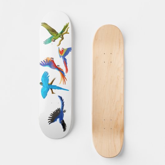 Macaw Crazy Skateboard (Voorkant)