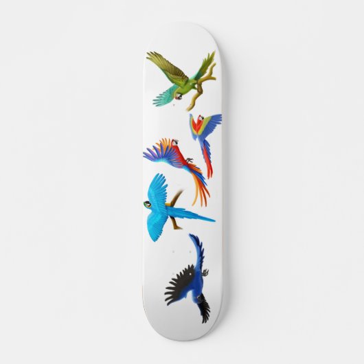 Macaw Crazy Skateboard (Voorkant)