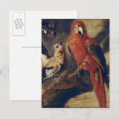 Macaw en Bullfinch Briefkaart (Voorkant / Achterkant)