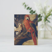 Macaw en Bullfinch Briefkaart (Staand voorkant)