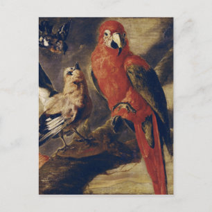 Macaw en Bullfinch Briefkaart