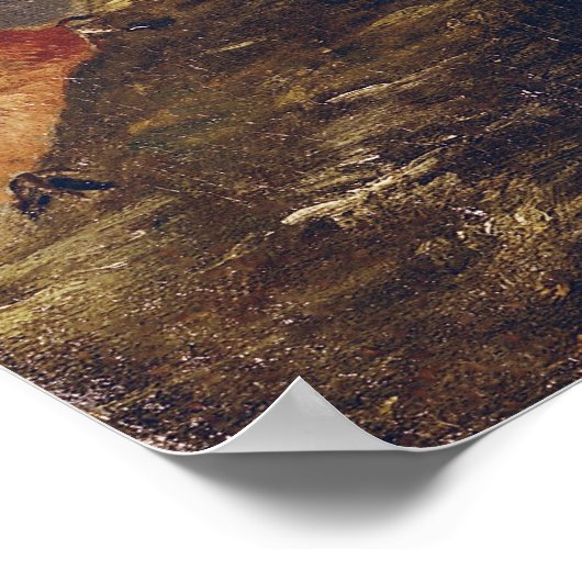 Macaw en Bullfinch Poster (Hoek)