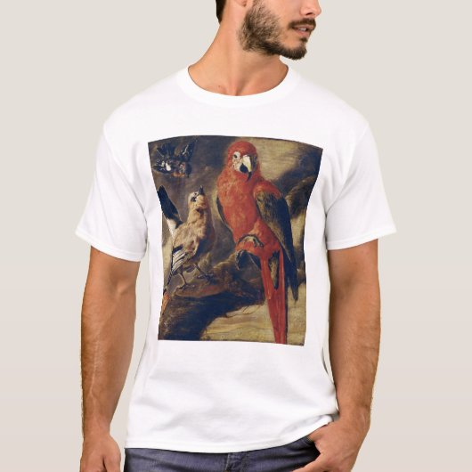 Macaw en Bullfinch T-shirt (Voorkant)