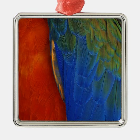 Macaw Feathers Metalen Ornament (Voorkant)