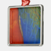Macaw Feathers Metalen Ornament (Links)