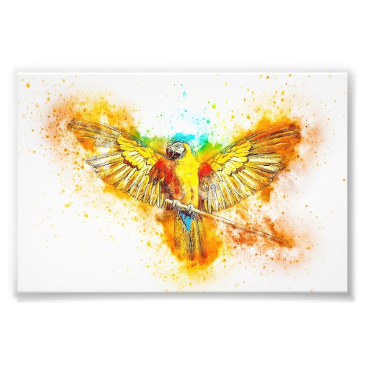 Macaw Foto Afdruk (Voorkant)