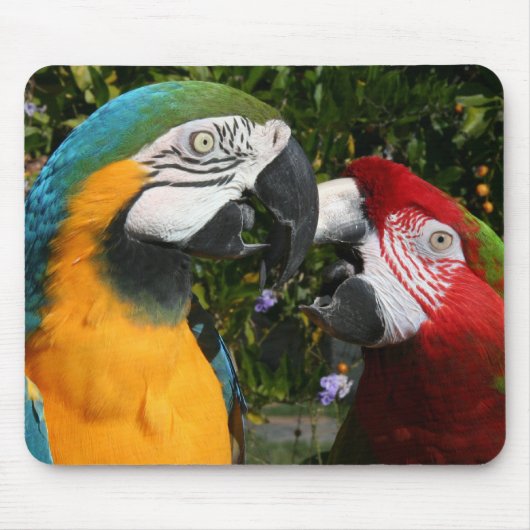 Macaw Friends Mousepad Muismat (Voorkant)