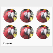 Macaw grote sticker (Vel)