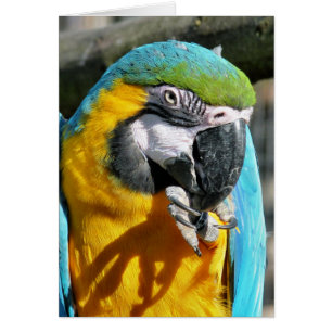 MACAW-kaart