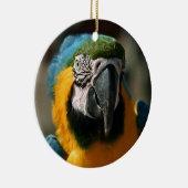 Macaw Keramisch Ornament (Rechts)