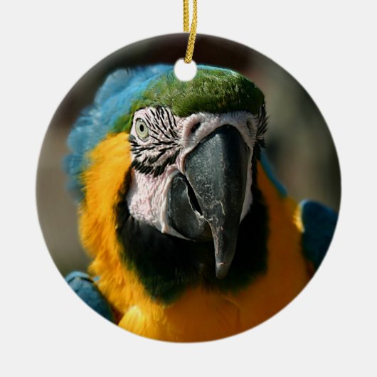 Macaw Keramisch Ornament (Voorkant)